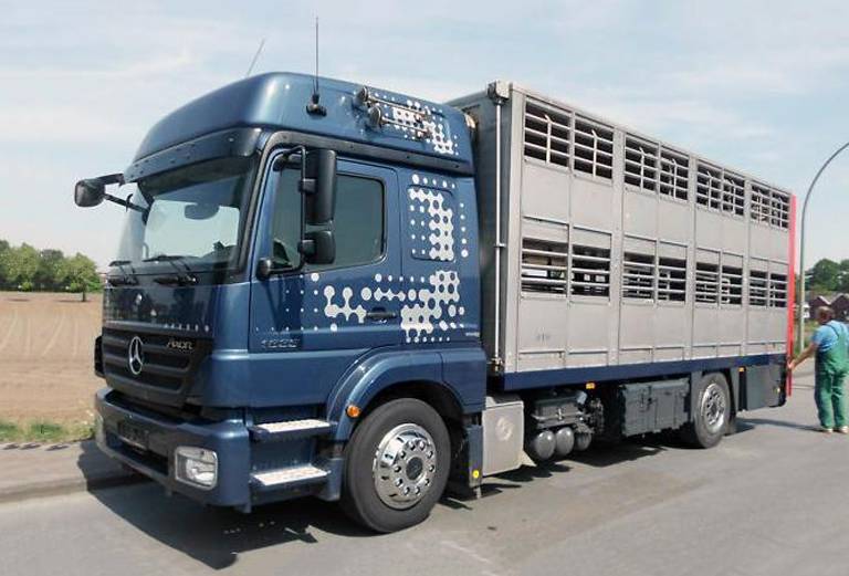 Прицеп для перевозки крупного рогатого скота из Тюмени в Омск